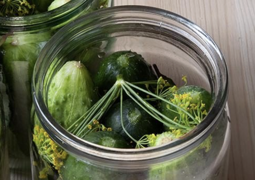 Vegetales de huerto